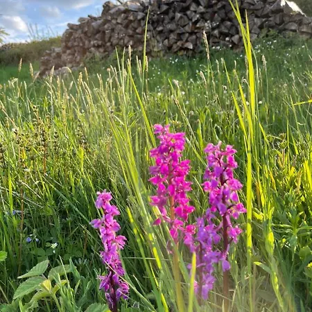 Les Pimprenelles 別荘 ボーレン