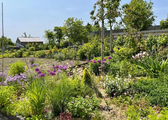 Vakantiehuis Les Pimprenelles *